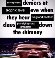 komentarz obrazkowy