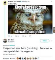 komentarz obrazkowy