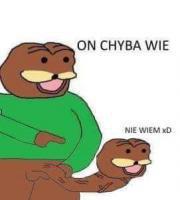 komentarz obrazkowy