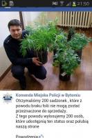 komentarz obrazkowy