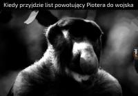 komentarz obrazkowy
