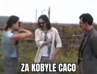 komentarz obrazkowy