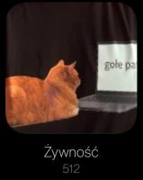 komentarz obrazkowy