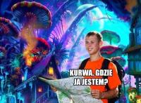 komentarz obrazkowy