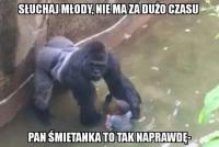 komentarz obrazkowy