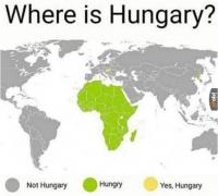 komentarz obrazkowy