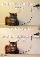 komentarz obrazkowy