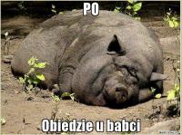 komentarz obrazkowy
