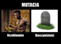 komentarz obrazkowy
