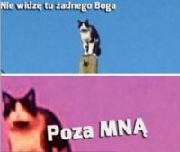 komentarz obrazkowy