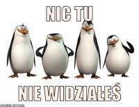 komentarz obrazkowy
