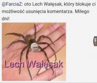 komentarz obrazkowy