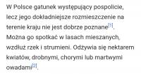 komentarz obrazkowy