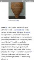 komentarz obrazkowy
