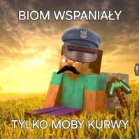 komentarz obrazkowy