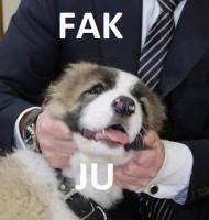 komentarz obrazkowy