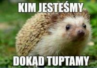 komentarz obrazkowy