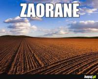 komentarz obrazkowy
