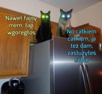 komentarz obrazkowy
