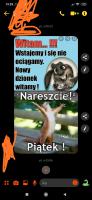 komentarz obrazkowy