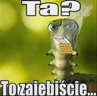 komentarz obrazkowy