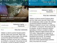 komentarz obrazkowy