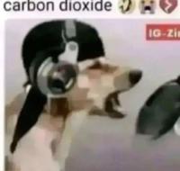 komentarz obrazkowy