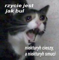 komentarz obrazkowy
