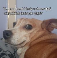 komentarz obrazkowy