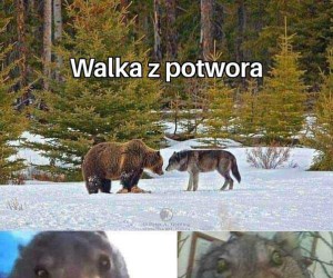 Taktyka mistrzów
