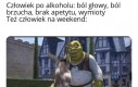 Logiczne