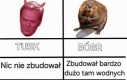 Bóbr vs Tusk