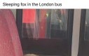 Spać mi się chciało