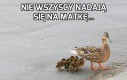 Nie wszyscy nadają się na matkę...