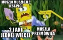 Wszechwiedząca muszla