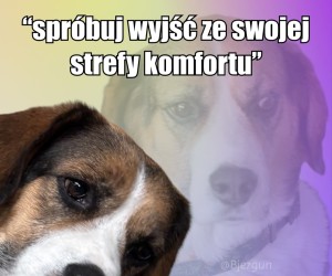 O to to