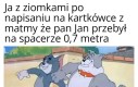 No i łatwo