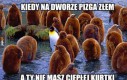 A niech to!