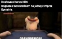 Komu potrzebny indyk jak mamy bobasy