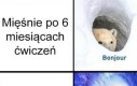 Cały trud na marne