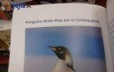 Co pingwiny myślą o sobie