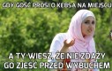 Kebs na miejscu