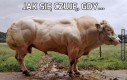 Jak się czuję, gdy...