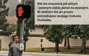 Kazdy pies ma coś z dziecka
