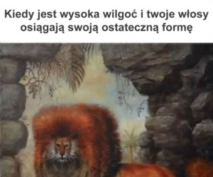 Majestat i piękno