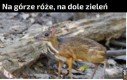 Nareszcie jakaś dobra wiadomość