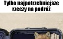 To co najważniejsze spakowane