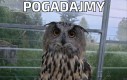 Pogadajmy
