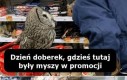 Jeden użytkownik kupuje, drugi sprzedaje