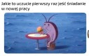 Oby tylko nikt niczego ode mnie nie chciał